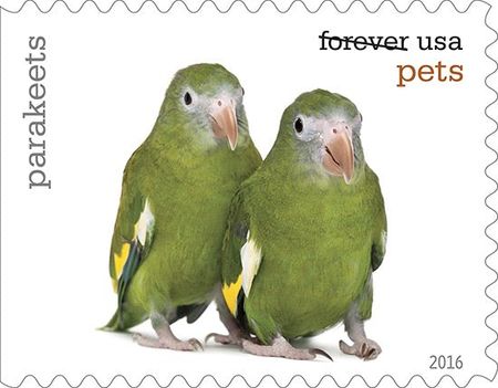 100 Parakeet Forever Postage Stamps Unused Green Parrot Postage Stamps for Mailing